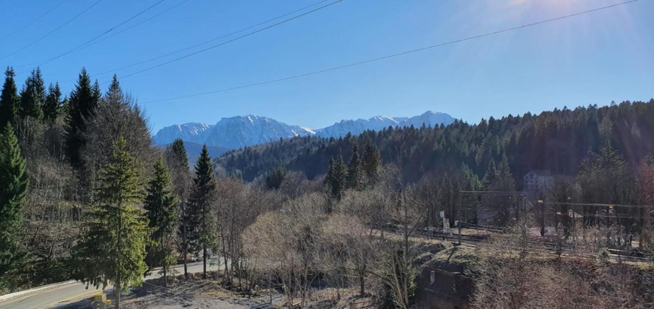 Pensiunea Alpin เปรดัล ภายนอก รูปภาพ